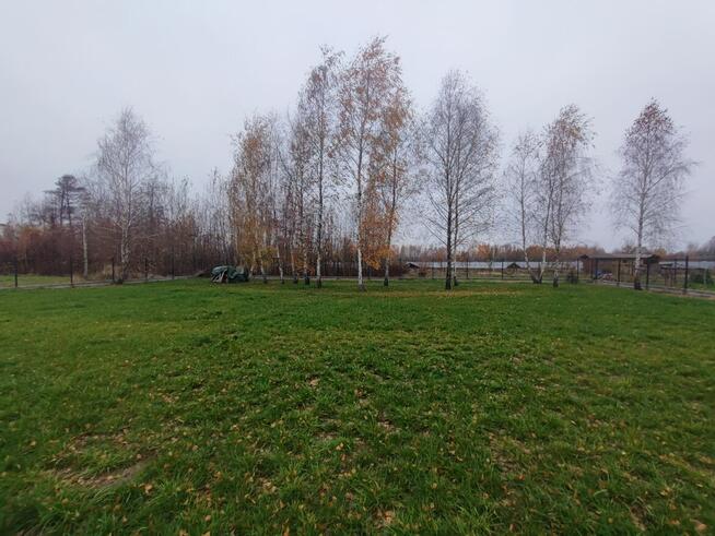 Wynajmę działkę 1200m2 Duczki 30 km od Warsz. z prądem.