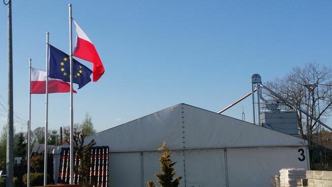 pszenica w workach 25 kg big bagi