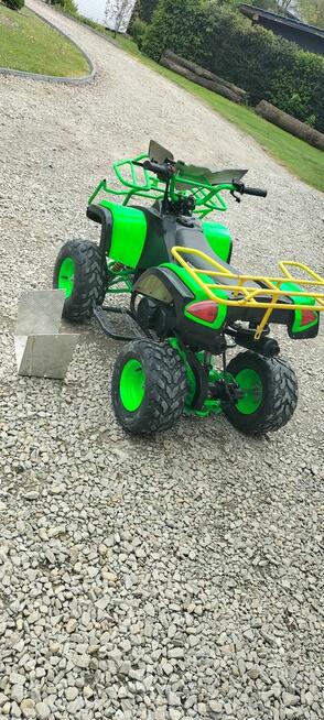 Quad 110 mini King way