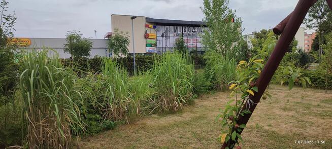 Sprzedam działkę ROD.