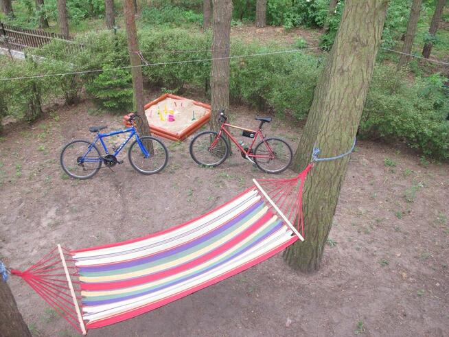 Domek letniskowy na wynajem