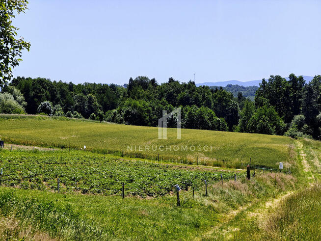 Działka rolna Trzcinica gm. Jasło