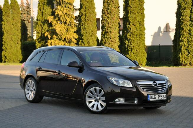 Opel Insignia 2.0CDTI(160KM)*Bi-Xenon*Led*Navi*El.Klapa*Rude Skóry*Chrom*Alu19"ASO