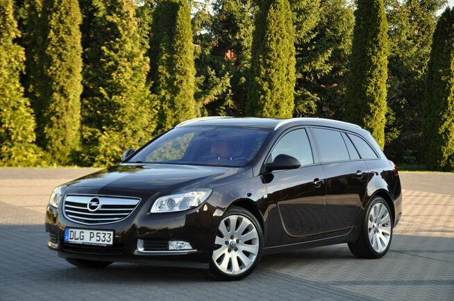 Opel Insignia 2.0CDTI(160KM)*Bi-Xenon*Led*Navi*El.Klapa*Rude Skóry*Chrom*Alu19"ASO