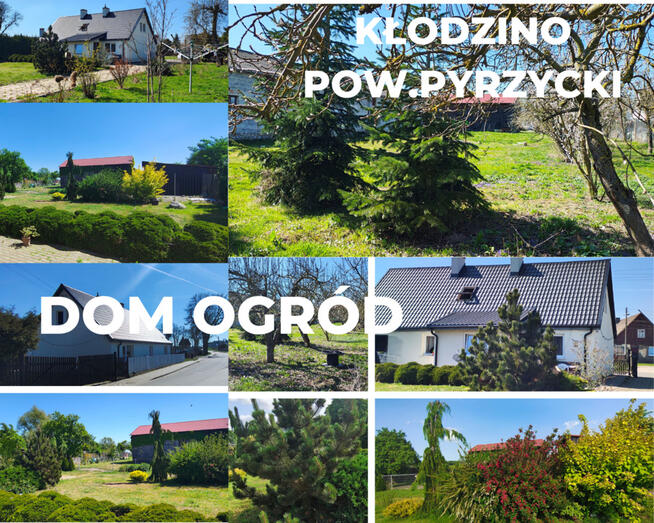 Kłodzino Przelewice dom i zabudowania gospodarcze