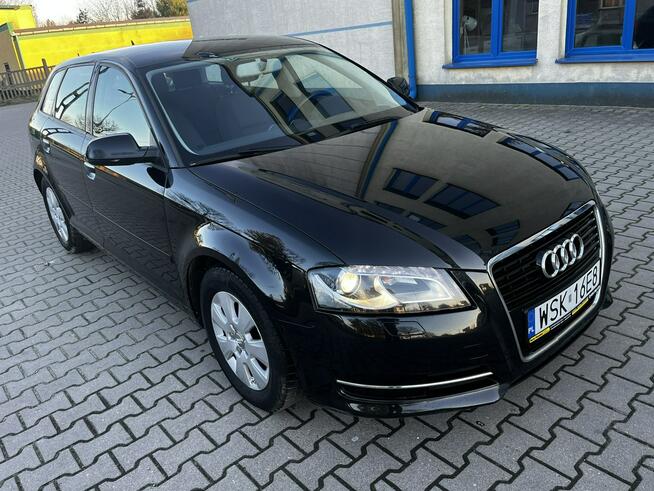 Audi A3 Lift 1.6Tdi 2012r Xenon Led Sportback Alufelgi Hak Climatronic