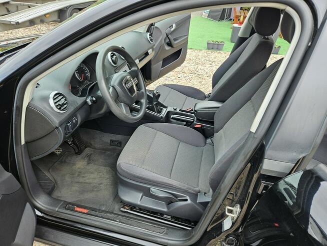 Audi A3 Opłacony Zdrowy Zadbany Serwisowany 1 Wł Po Serwisie