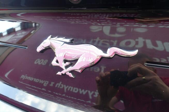 Ford Mustang * Oferta Prywatna * 2.3 Benzyna 317KM * Świetny Stan * 80 tyś KM