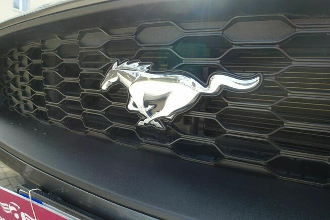 Ford Mustang * Oferta Prywatna * 2.3 Benzyna 317KM * Świetny Stan * 80 tyś KM