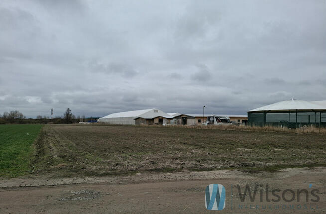 Działka inwestycyjna Dawidy gm. Raszyn,