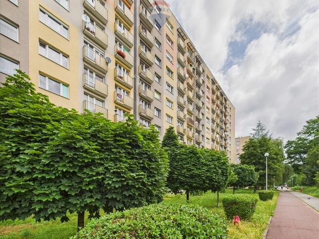 Po remoncie i wyposażone, 2 pokojowe na parterze!