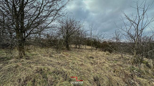 Działka rolna Krzeszowice