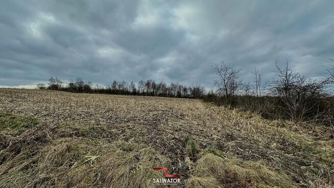 Działka rolna Krzeszowice