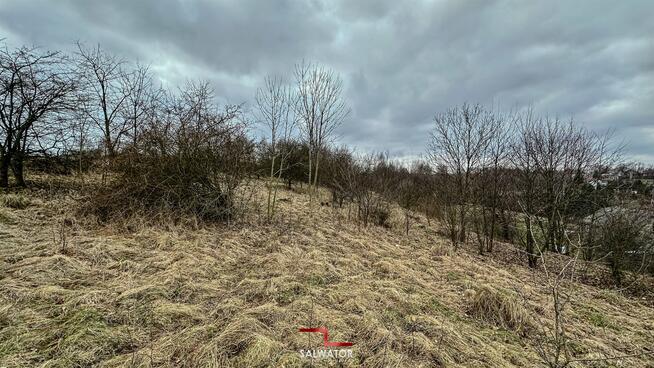 Działka rolna Krzeszowice