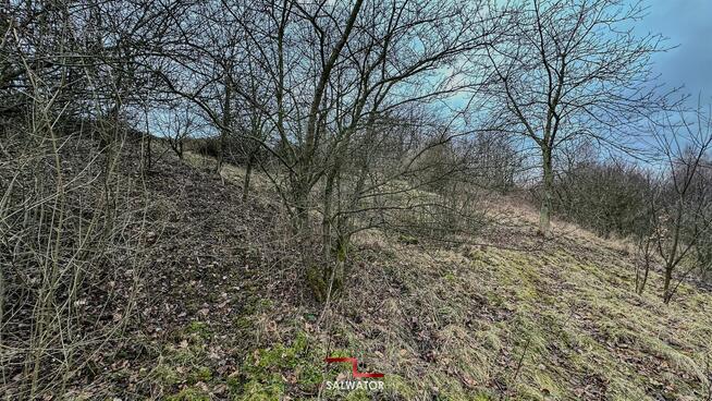 Działka rolna Krzeszowice