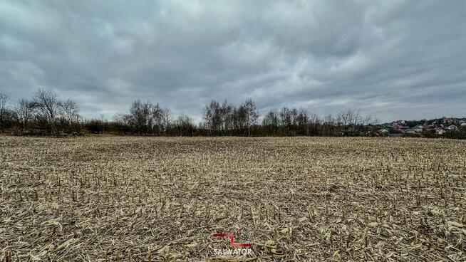 Działka rolna Krzeszowice