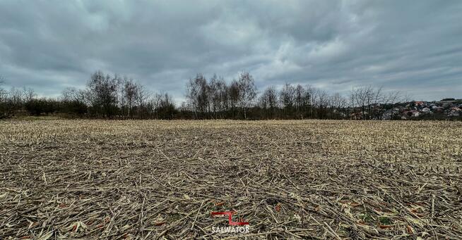 Działka rolna Krzeszowice