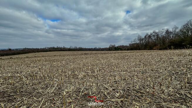 Działka rolna Krzeszowice