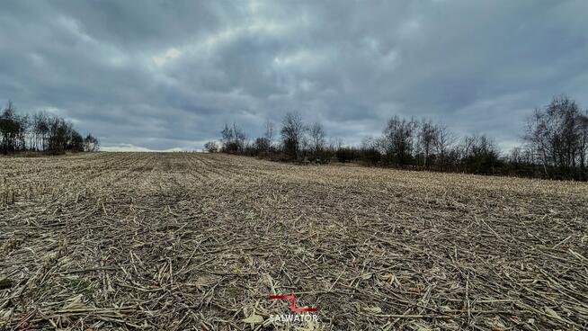 Działka rolna Krzeszowice