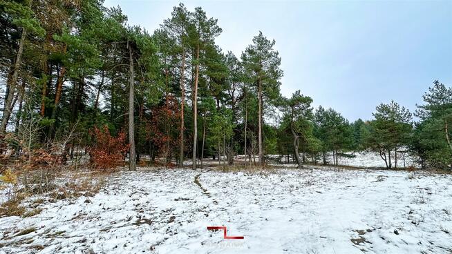 Działka budowlana Olkusz