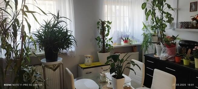 Zamiana mieszkania 42m2 komunalne