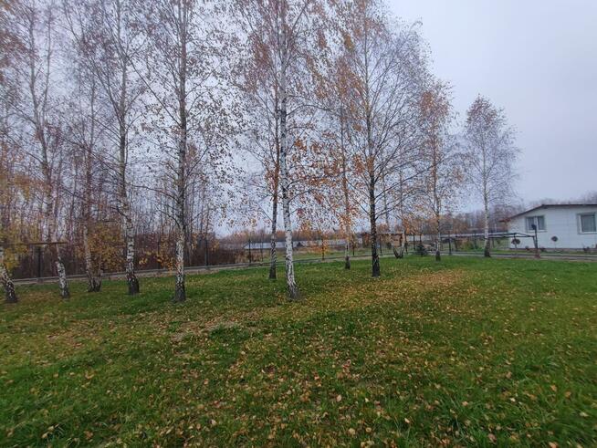 Wynajmę działkę 1200m2 Duczki 30 km od Warsz. z prądem.