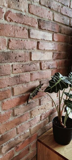 Stara Cegła, plytka dekoracyjna, lico cegły