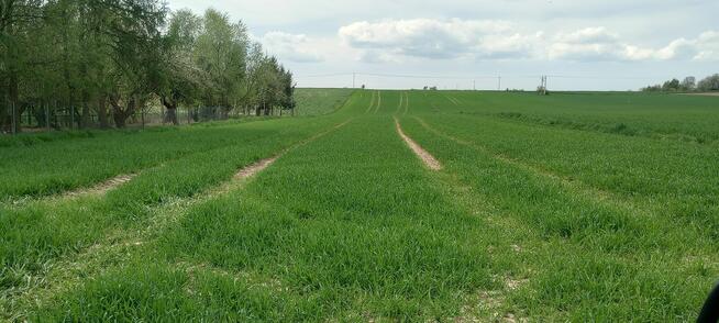 działka budowlano - rolna Ulina Mała Gmina Gołcza