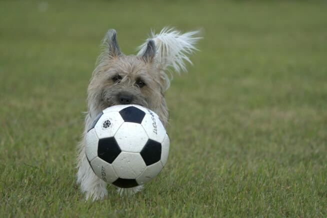 Działki nad jeziorem Warchlino - 20 min. od p.Szczecina