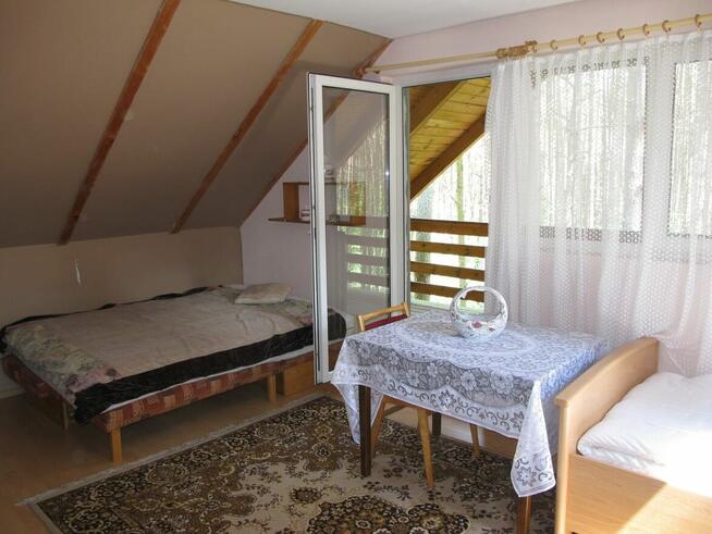 Domek letniskowy na wynajem