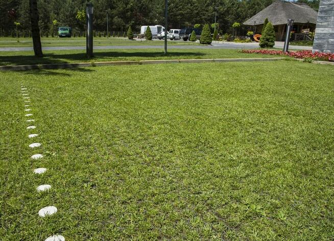 KRATKA TRAWNIKOWA Drogowa Stella Green Premium 60X40X4