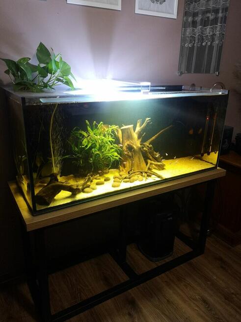 Akwa 240 litrów paletki filtr ultramax nowe