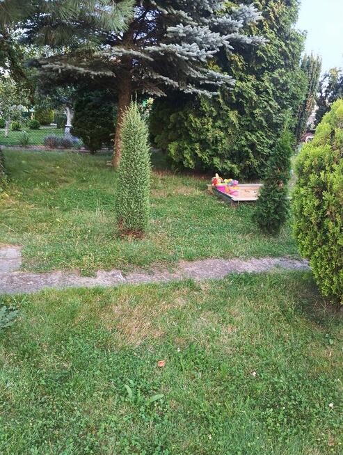 Działka rekreacyjna