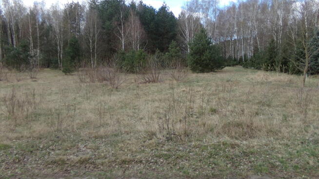 Działka budowlana w Michałówku