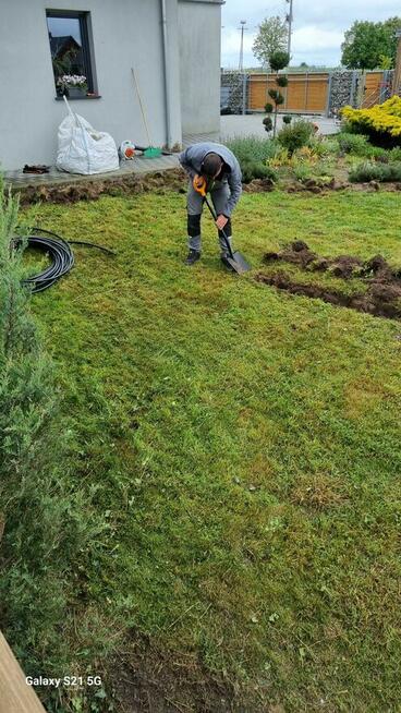 Usługi ogrodnicze, projekty, wycinka Gniezno i okolice