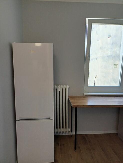 Pokój w centrum wynajmę