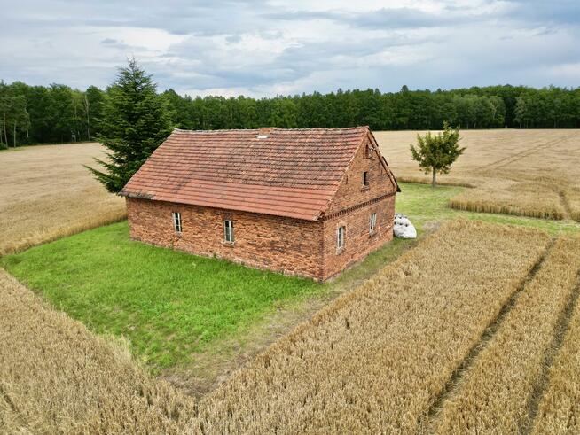 Działka rolna Ciarka gm. Lasowice Wielkie, Bez Nazwy