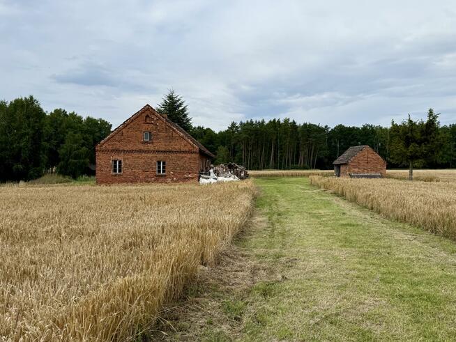 Działka rolna Ciarka gm. Lasowice Wielkie, Bez Nazwy