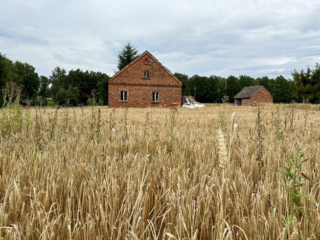 Działka rolna Ciarka gm. Lasowice Wielkie, Bez Nazwy