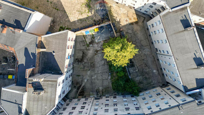 Duża kamienica w centrum Poznania 38 lokali