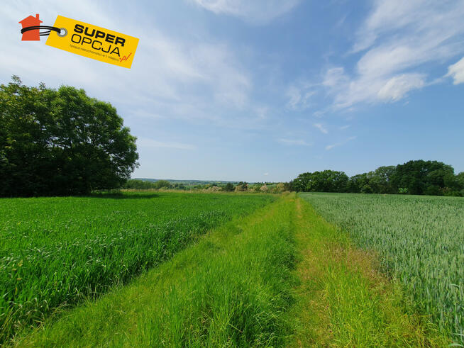 Działka budowlana Szczepanowice gm. Miechów,