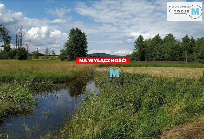 Działka leśna Strawczyn Korczyn