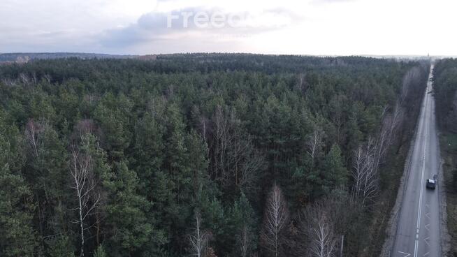Działka 4000m2 z Warunkami zabudowy