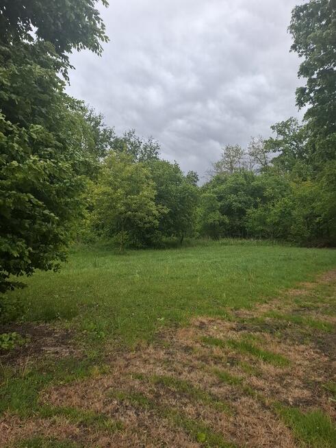 Do sprzedania ładna działka budowlano-rolna w dobrej cenie.