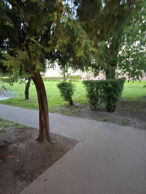 Sprzedam mieszkanie w centrum Łowicza