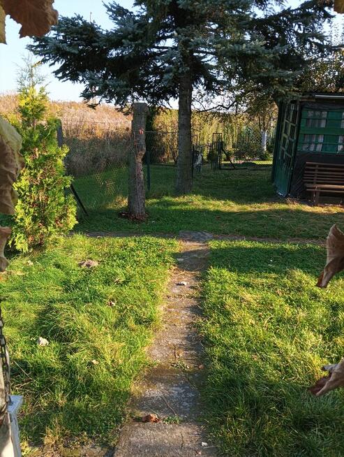 Działka rekreacyjna