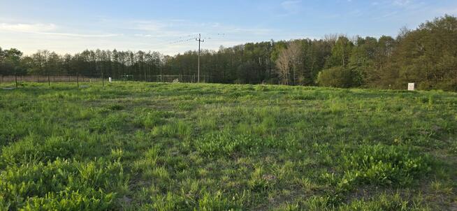 Działki w bliskiej okolicy Stargardu