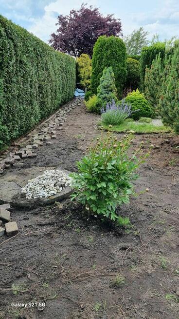 Usługi ogrodnicze, projekty, wycinka Gniezno i okolice