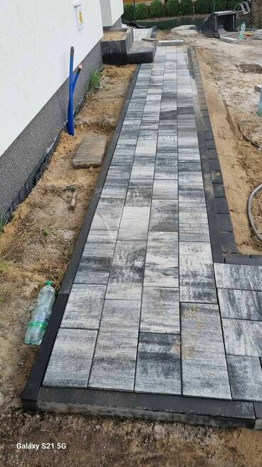 Usługi ogrodnicze, projekty, wycinka Gniezno i okolice