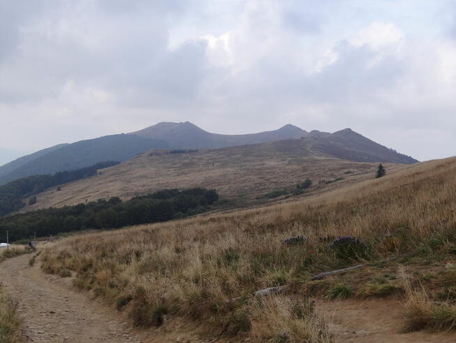 Poszukiwana koleżanka na wyjazdy w góry - Bieszczady